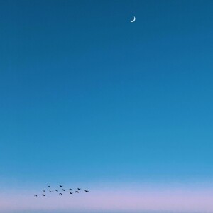 Dreamstate的专辑milkyway