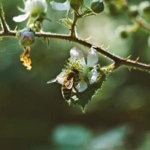 Listen to Soft Sounds song with lyrics from Deep Sleep
