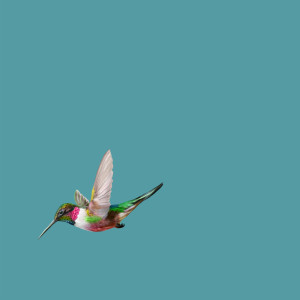 收听Martin Gauffin的Bigtooth Aspen歌词歌曲