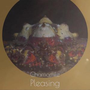 ดาวน์โหลดและฟังเพลง One another Capacities พร้อมเนื้อเพลงจาก Jordy Birten