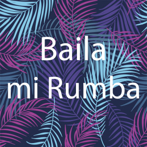 Album Baila Mi Rumba from Various