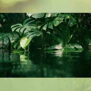 Listen to All is Quiet song with lyrics from Study Music Library