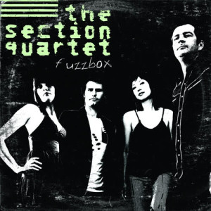 收聽The Section Quartet的Such Great Heights歌詞歌曲