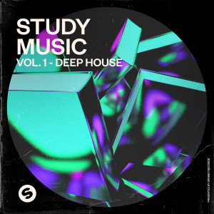 Various Artists的專輯Study Music, Vol. 1: Deep House (Presented by Spinnin' Records)