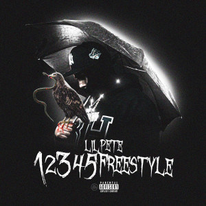 Album 12345 Freestyle (Explicit) from Lil pete