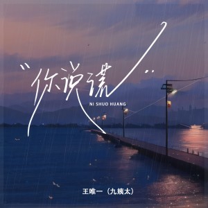 Album 你说谎 from 王唯一