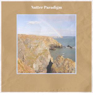 Various Artists的專輯Nutter Paradigm