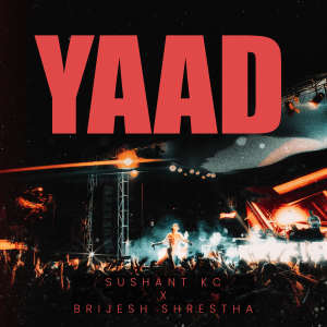 Brijesh Shrestha的专辑Yaad