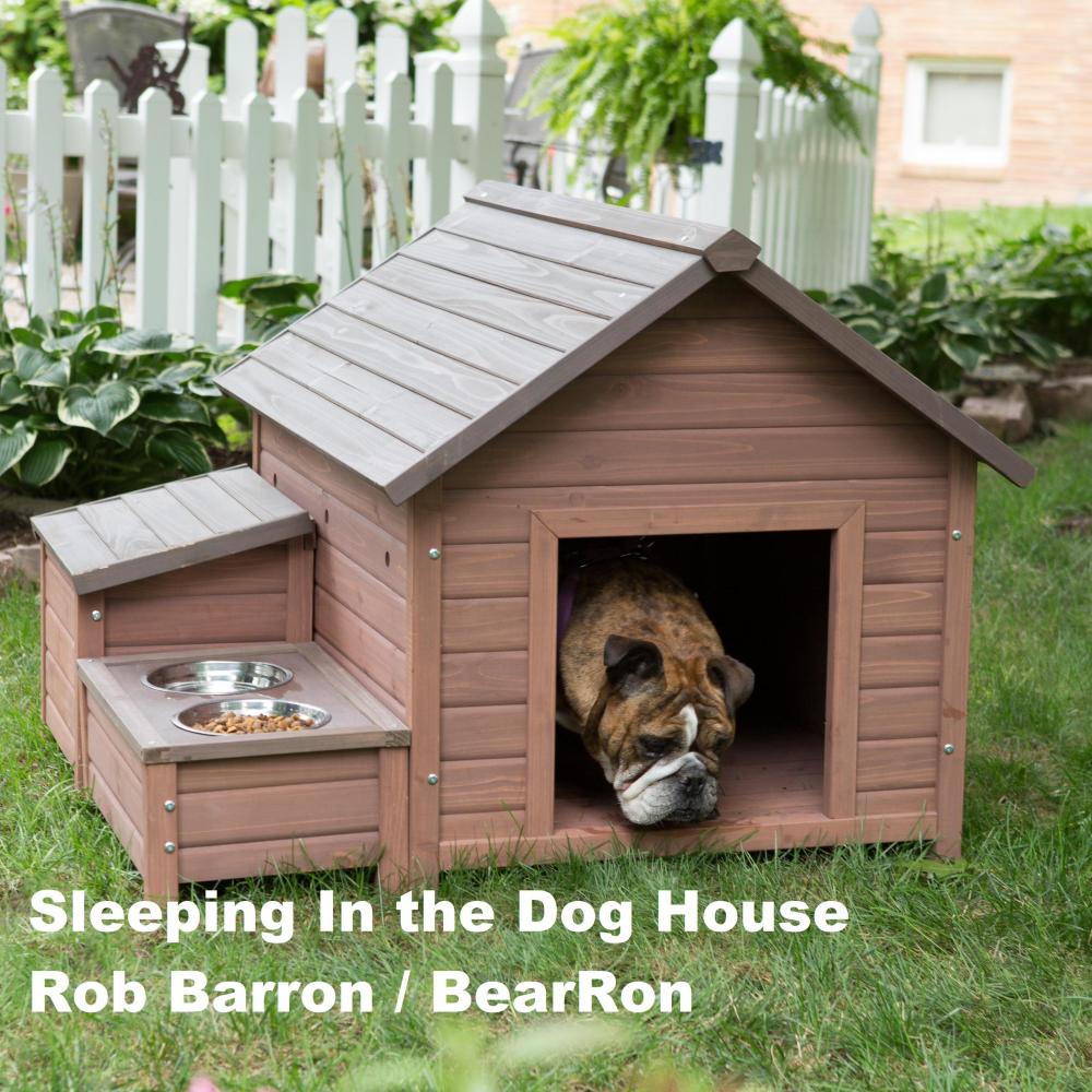 Sleeping In the Dog House