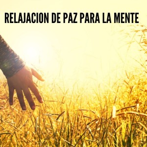 ดาวน์โหลดและฟังเพลง Relajacion de Paz para la Mente พร้อมเนื้อเพลงจาก Paz Mental
