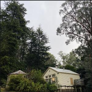 收聽The Great Emu War Casualties的Boutique Suite in Funky Fitzroy歌詞歌曲