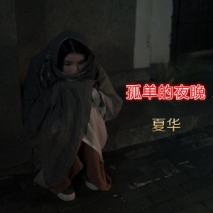 Listen to 孤单的夜晚 (其他) song with lyrics from Dashen（伊大神）