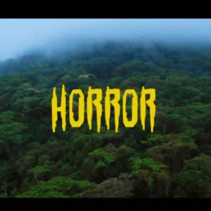 收聽MulaNation的Horror (feat. ScripMula & Nargamr5star)歌詞歌曲