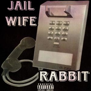 Rabbit的专辑Jail Wife (Explicit)