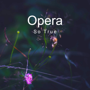 Album So True from Opera