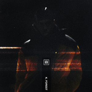 Listen to Cold Case song with lyrics from K. Forest