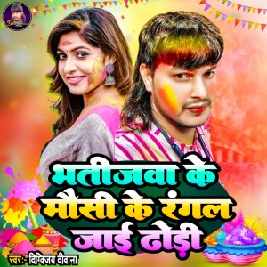 Listen to Bhatijwa Ke Mausi Ke Rangal Jaai Dhodi song with lyrics from Digvijay Deewana