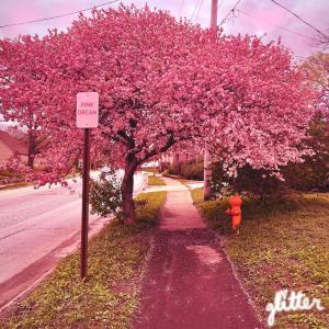 Album pinkdream oleh Glitter