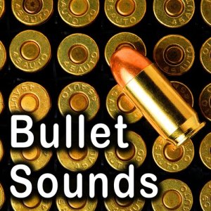 收聽Sound Ideas的Bullet Ricochet with Aggressive Zing歌詞歌曲