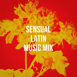 Romantico Latino的专辑Sensual Latin Music Mix