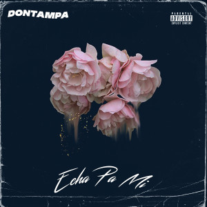 Listen to Echa Pa Mi (Explicit) song with lyrics from DonTampa