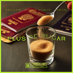 66Gram的专辑PLUS DE SUGAR (Explicit)