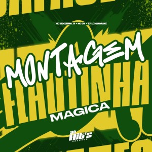 Album Montagem Flautinha Magica (Explicit) from DJ LC MANDRAKE