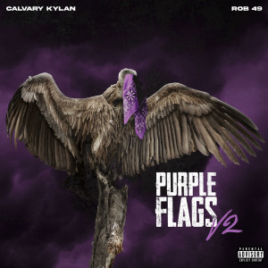 Listen to Purple Flags V2 (Explicit) song with lyrics from Calvary Kylan