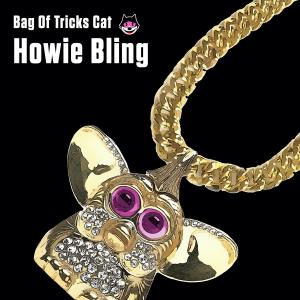Bag of Tricks Cat的专辑Howie Bling (Explicit)