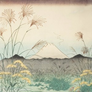 Album Symbols Of Transformation from Soul Dojo