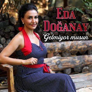 Listen to Gelmiyor Musun song with lyrics from Eda Doğanay