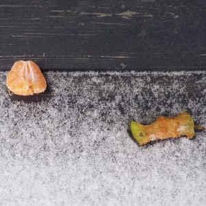 收聽Adrian Cox的Fotografen歌詞歌曲