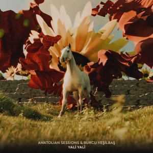 Anatolian Sessions的專輯Yali Yali