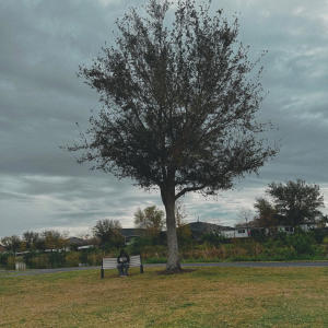 收聽Amr的Born N Raised (Florida Boy) (Explicit)歌詞歌曲