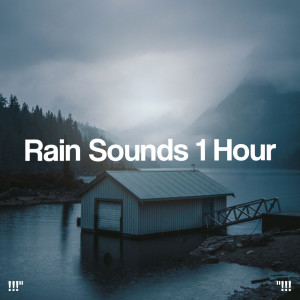 !!!" Rain Sounds 1 Hour "!!!