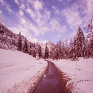 Dengarkan 작은 나무에 기대어 낮잠을 lagu dari 평온한 자장가 dengan lirik