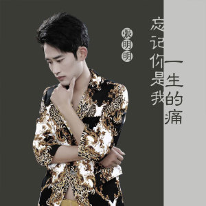 收听张明明的忘记你是我一生的痛 (DJ版)歌词歌曲