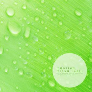 อัลบัม Emotional Piano With Clear Rain (Nature Ver.) ศิลปิน Various Artists