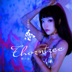 收听顾小洁的山楂树之恋 (女生版)歌词歌曲