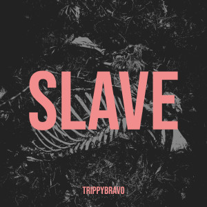 Album Slave (Explicit) from Trippybravo
