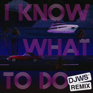 Robin Thicke的專輯I Know What To Do - DJWS Remix