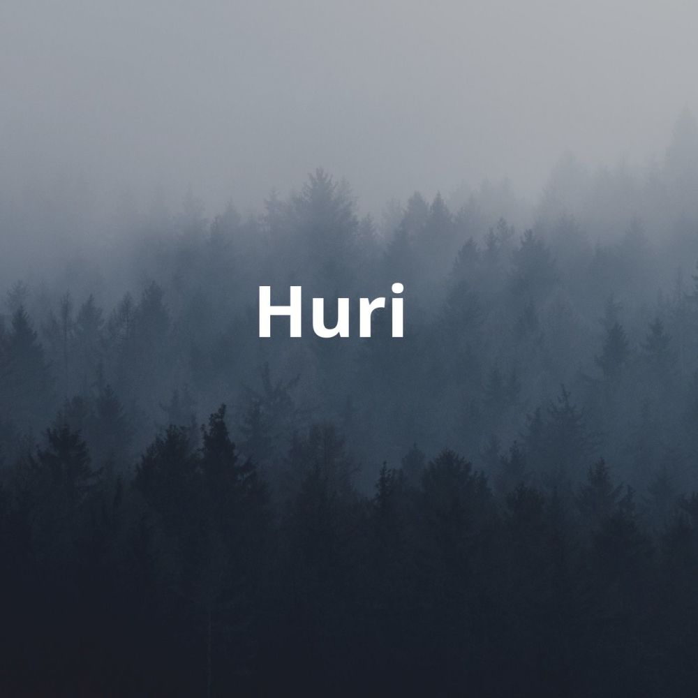 Huri