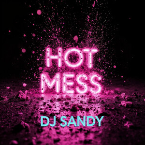 Listen to Hot Mess (Explicit) song with lyrics from DJ Sandy