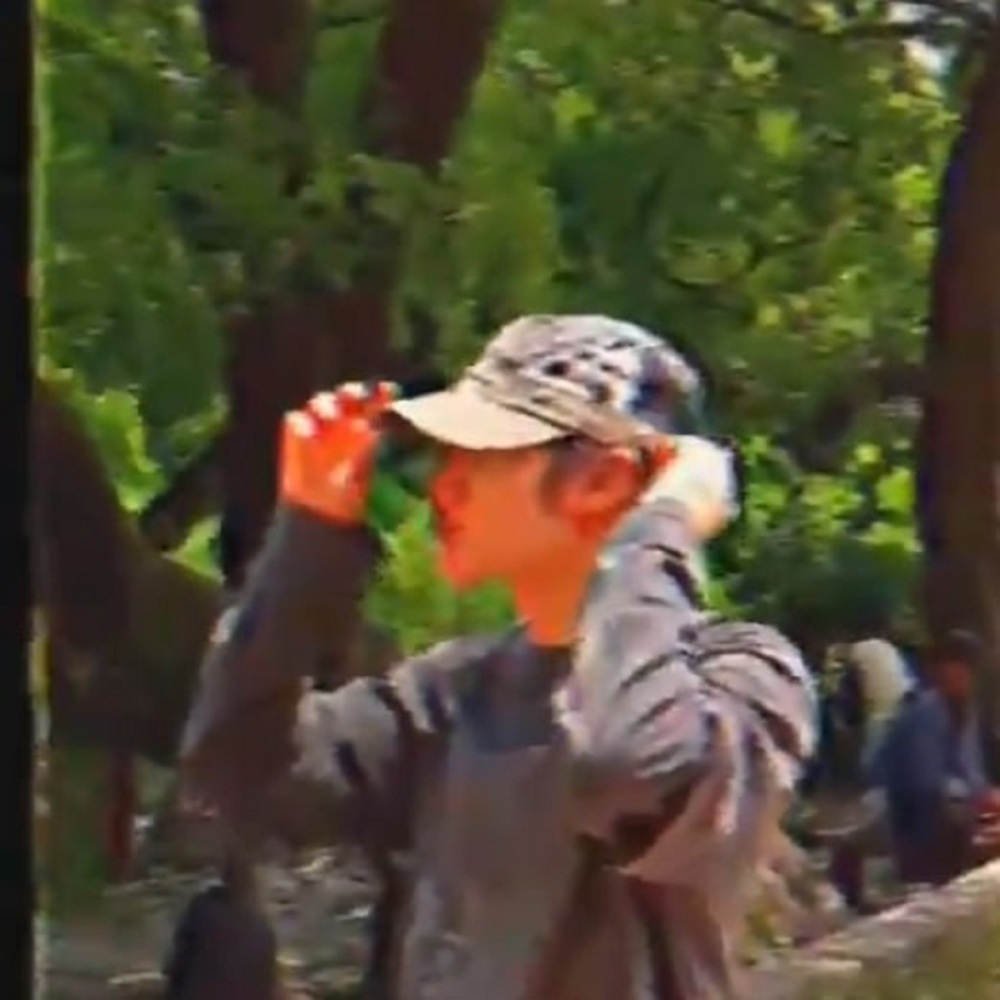 토말
