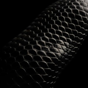 Album Snakes from 