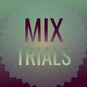 Various Artists的專輯Mix Trials