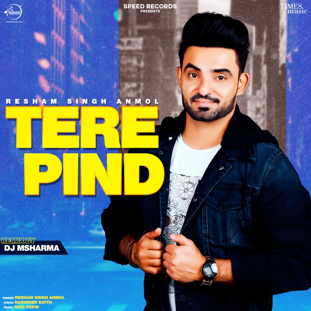 Tere Pind (DJ MSharma Remix)