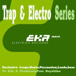 ดาวน์โหลดและฟังเพลง Trap & Electro Series Loops Percu 128 (Tool 4) พร้อมเนื้อเพลงจาก Dubmaan