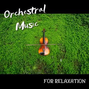 Listen to Molto Vivace song with lyrics from Sinfonia Varsovia