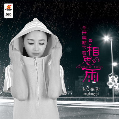 全世界都下着相思的雨 (伴奏)